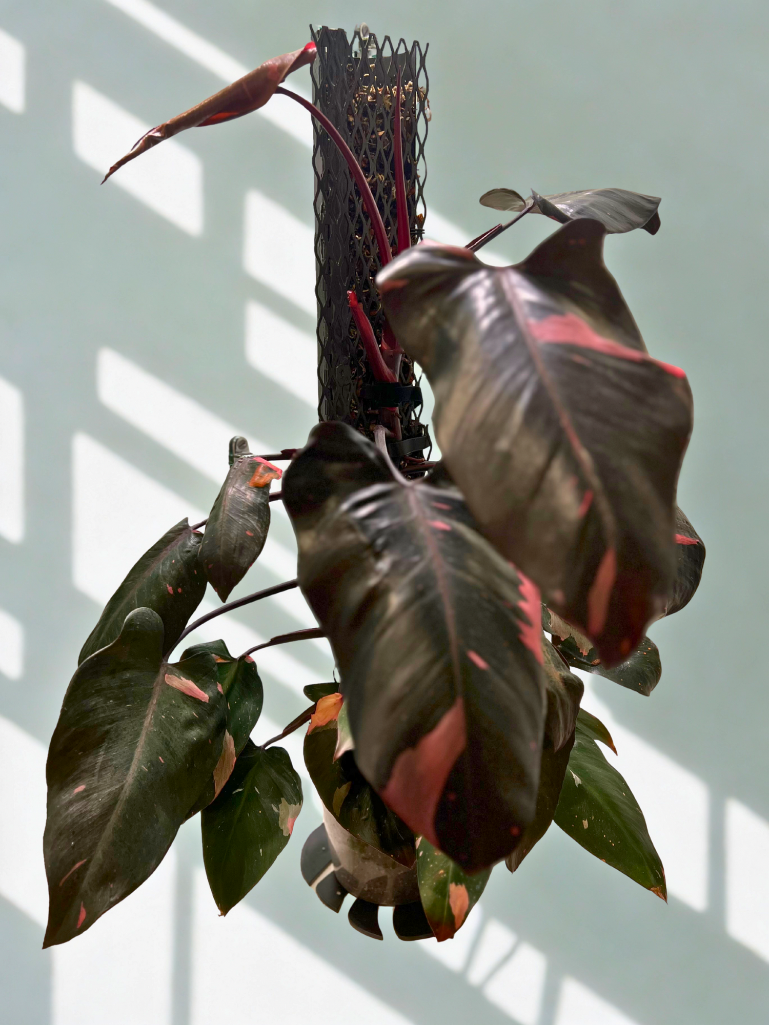 IronLeaf Housing Kit