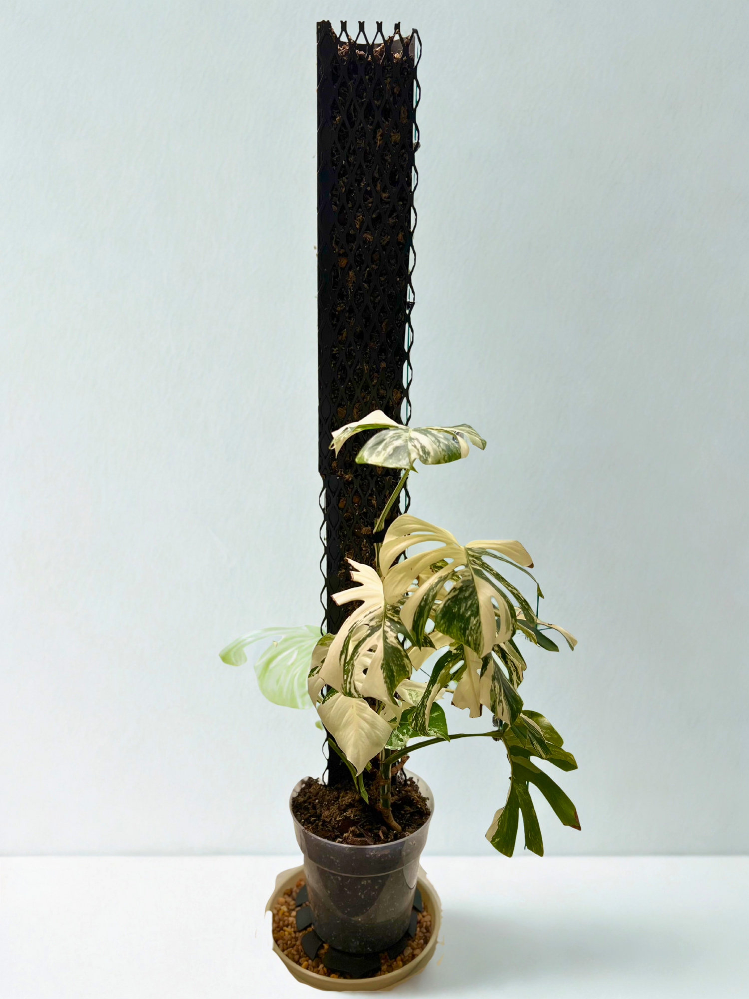 IronLeaf XL Housing Kit